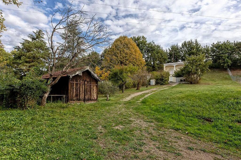 Gite O Fil Du Tarn Lescure-dʼAlbigeois Kültér fotó
