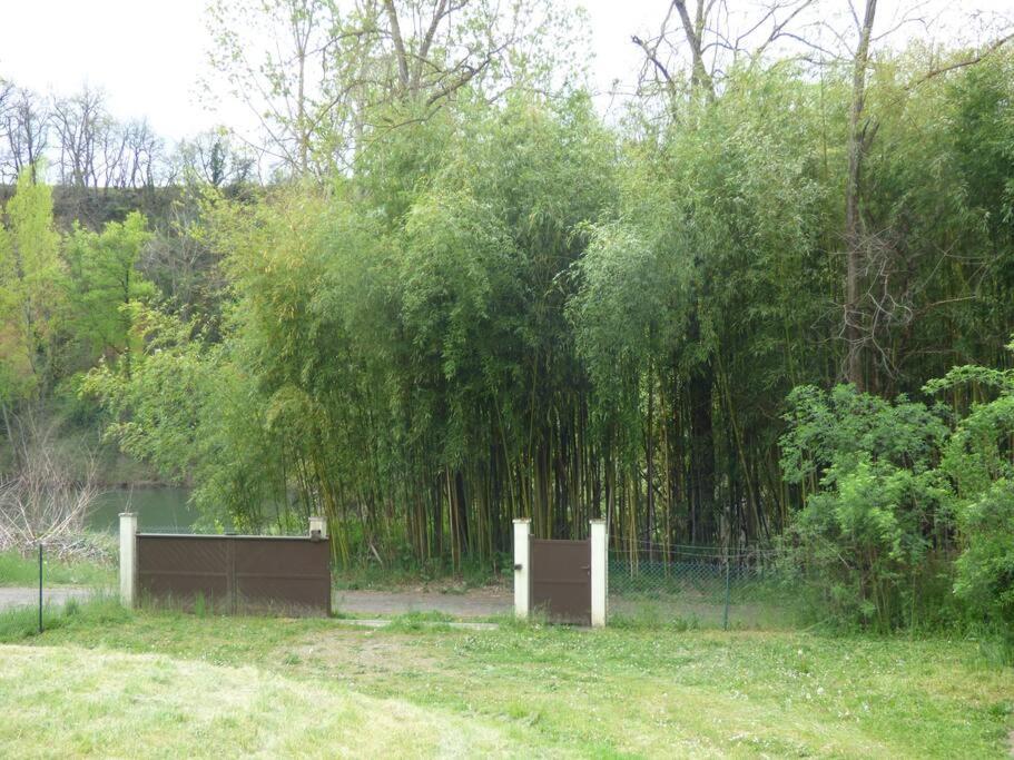 Gite O Fil Du Tarn Lescure-dʼAlbigeois Kültér fotó